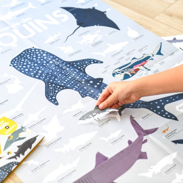 Poppik-poster-stickers-requins-sharks-animaux-marins-angel-svoboda-8-copie-600×600